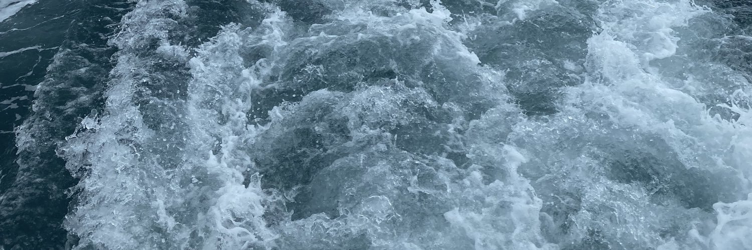 LeoDeScz's profile banner image
