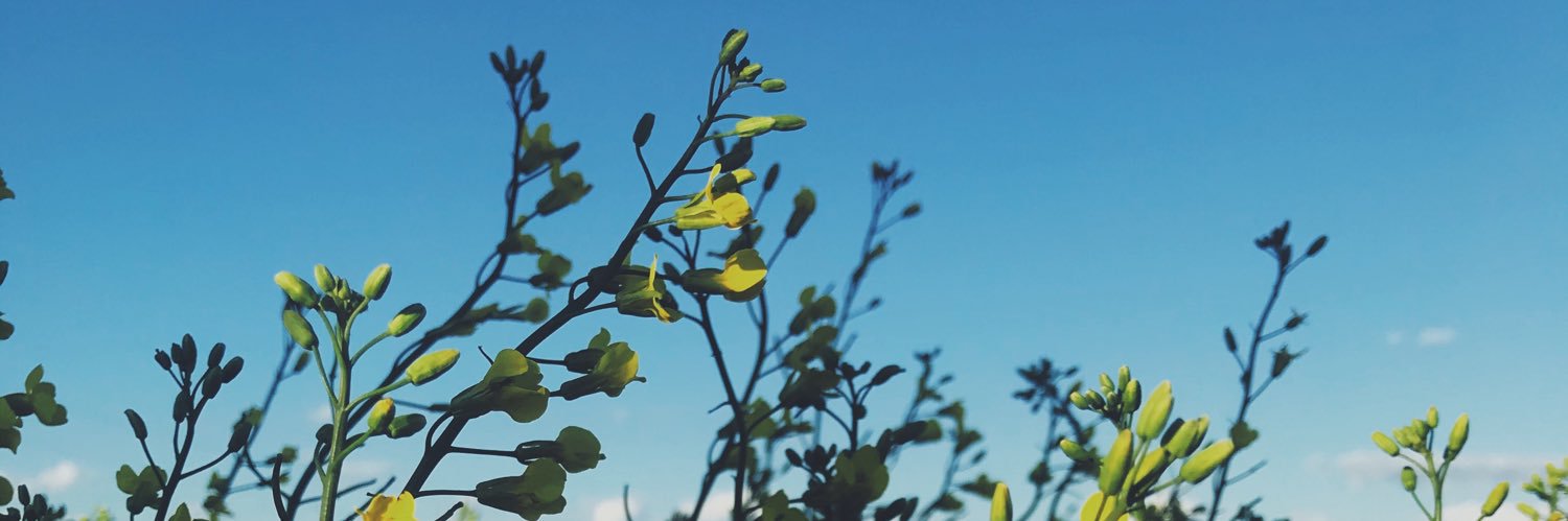 awolter18's profile banner image