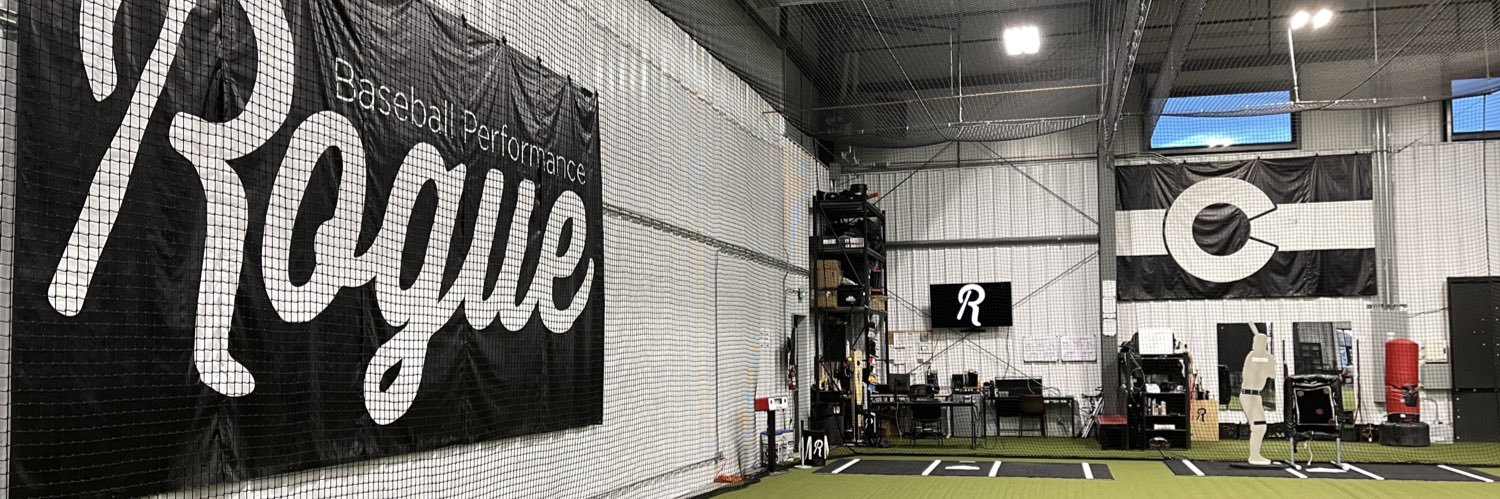 Rogue Baseball Performance banner