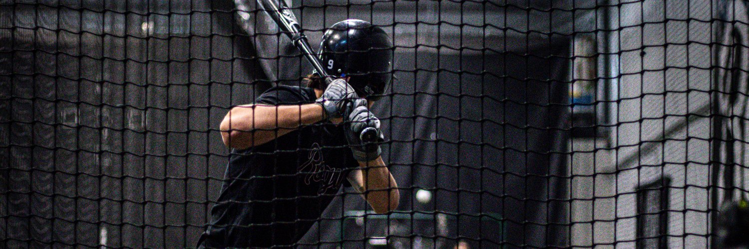 Rogue Baseball Performance banner