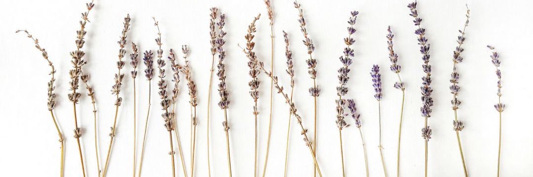𝑒𝑚𝑎♔ banner