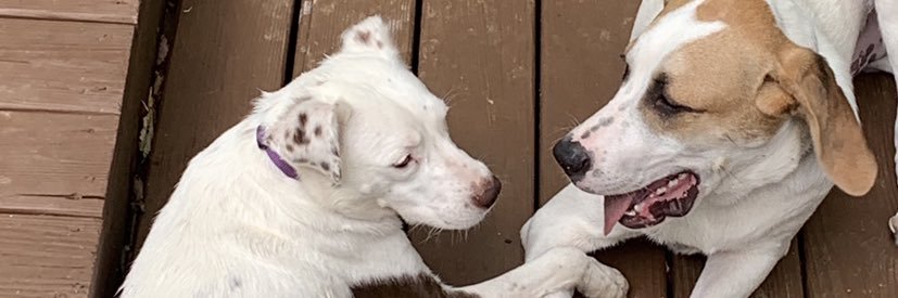 carriechrist2's profile banner image