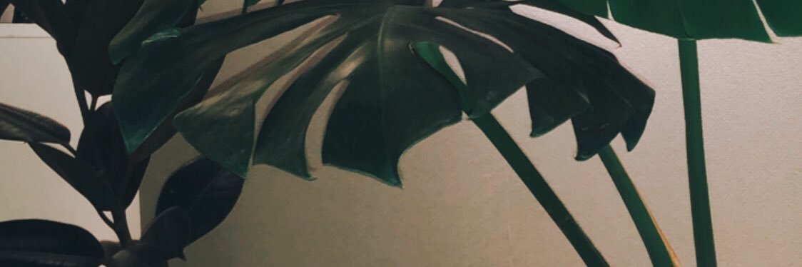 PJanjang's profile banner image