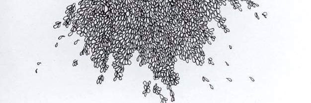 Sarah Klearman banner