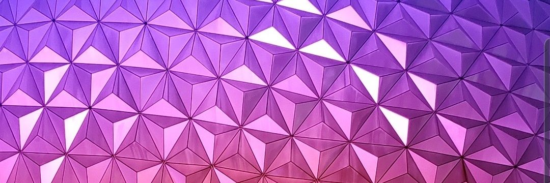 Michele Fleetwood banner