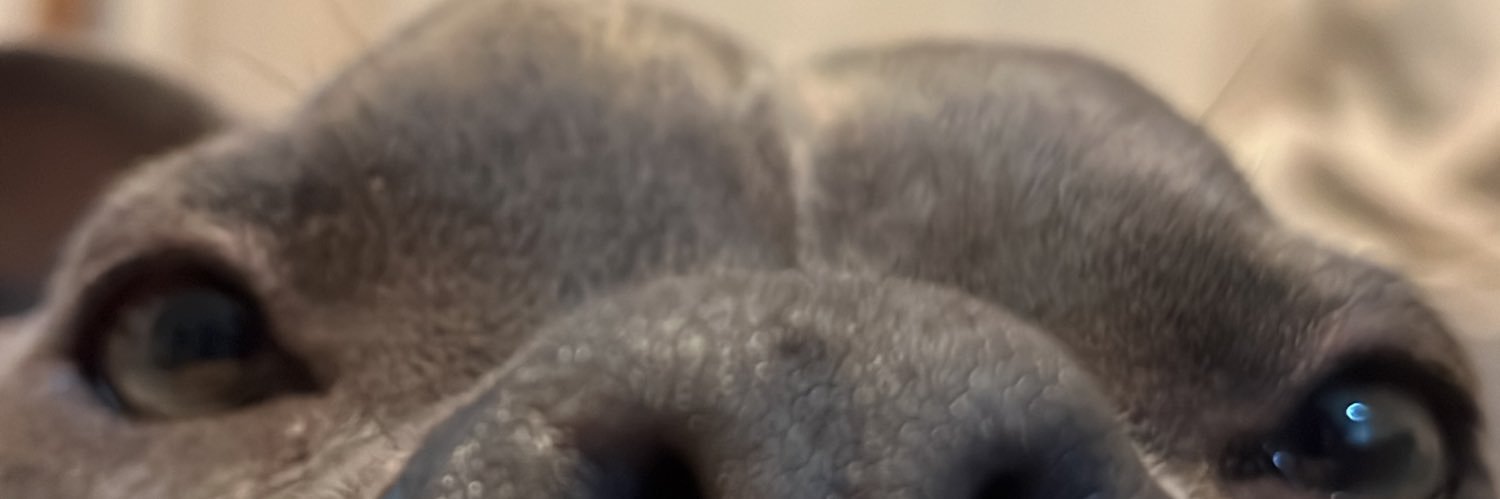 renasthomas's profile banner image