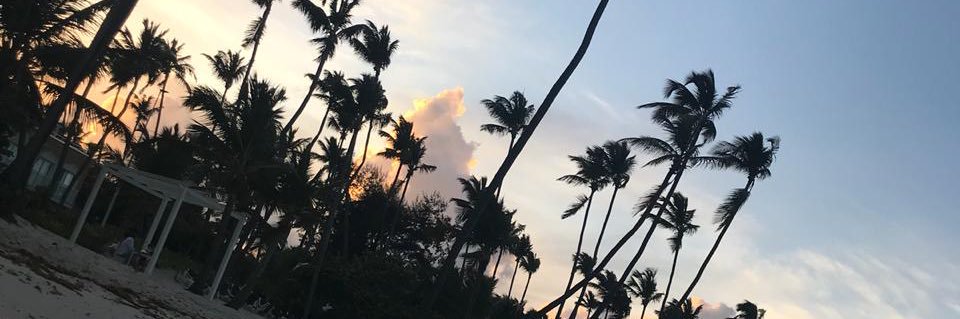 PedroMocellin's profile banner image