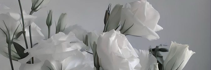 krtisl's profile banner image