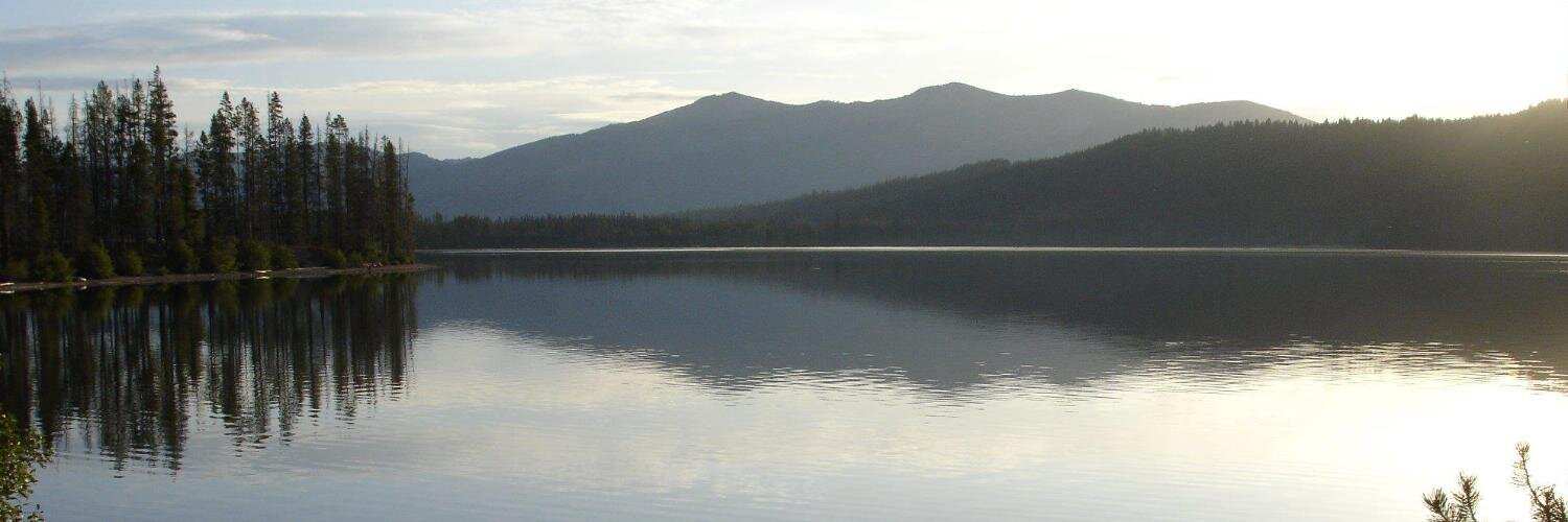 Michael Skaff banner