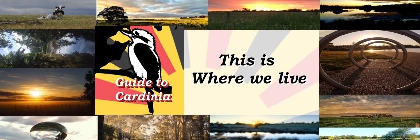 GuideToCardinia's profile banner image