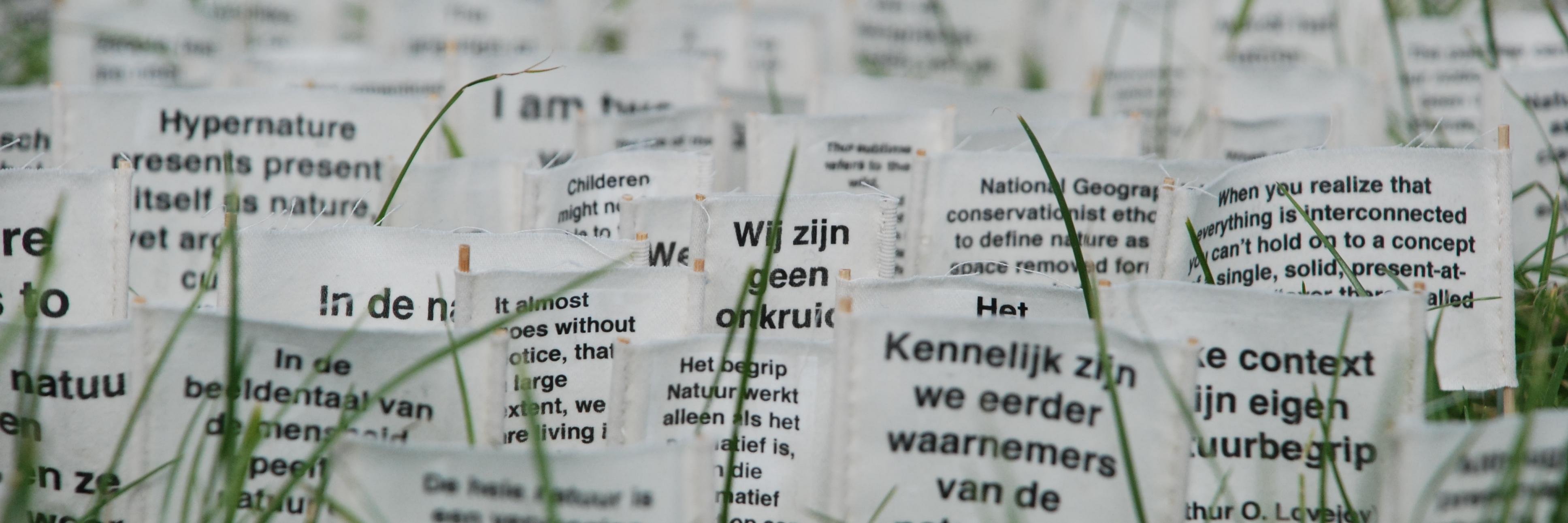 reinderskim's profile banner image