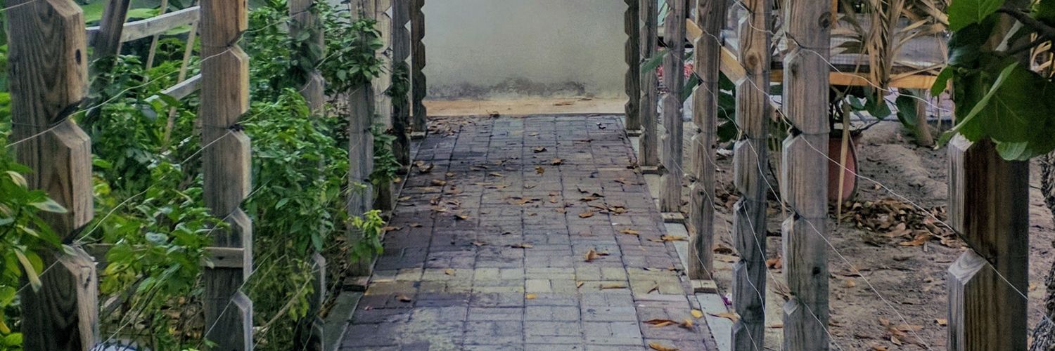 S. Hussain Almosawy banner