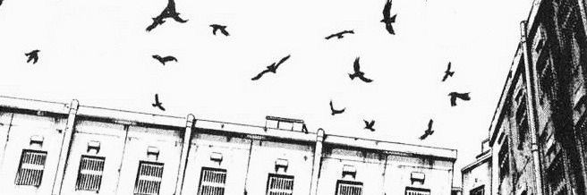 sam banner