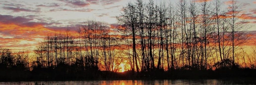 Edison Patiño banner