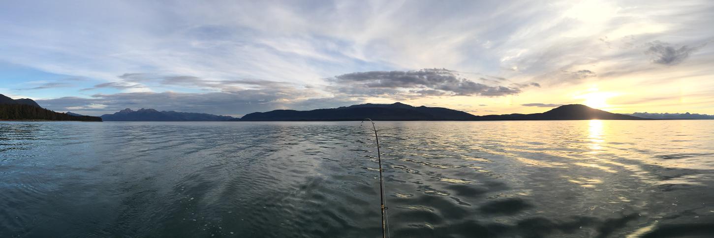 alaskanaloha's profile banner image
