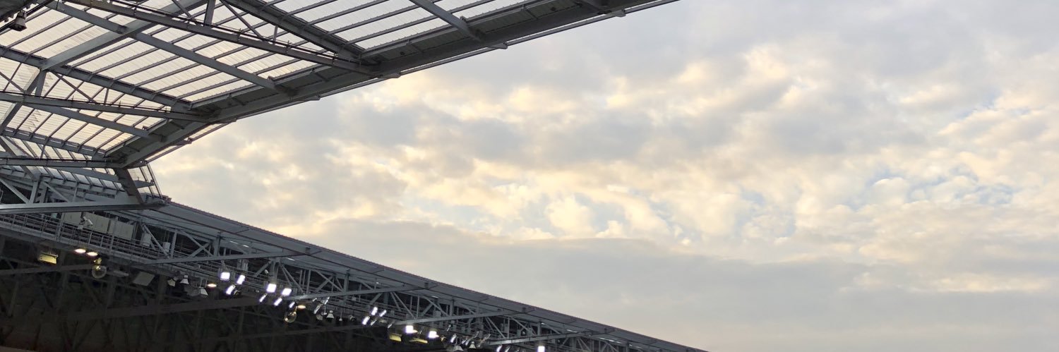 NLitaudon's profile banner image