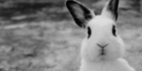 01170824's profile banner image