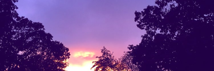 Lostboybee's profile banner image