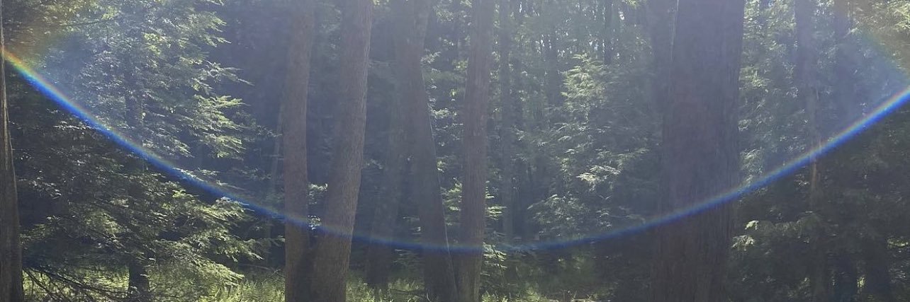 mitchleso's profile banner image