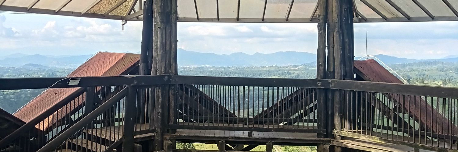 _____Alegria's profile banner image