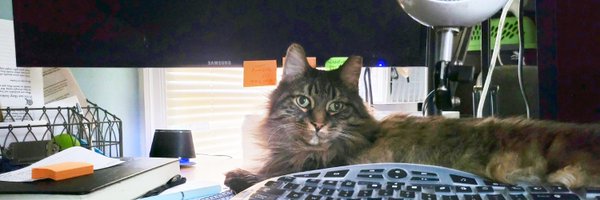 thoughtsndesign Profile Banner