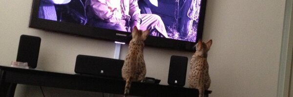 JoeplusV Profile Banner