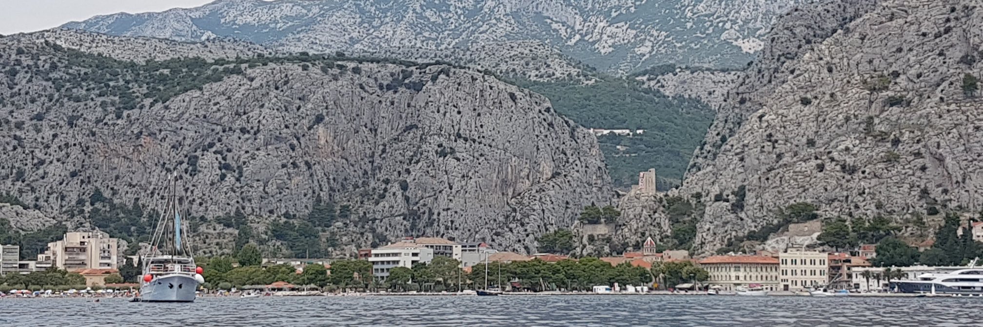 Sebastian Brzezinski banner