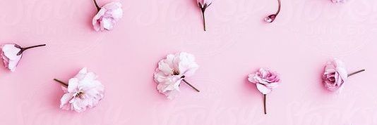 Laura_Daniela09's profile banner image