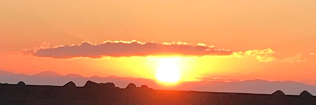si19981231's profile banner image