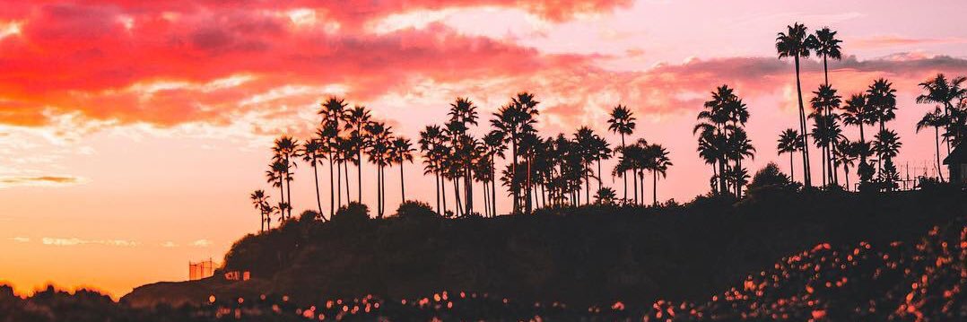 1williammunny's profile banner image