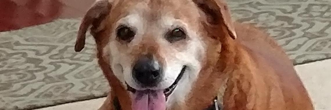nathanblimfark's profile banner image