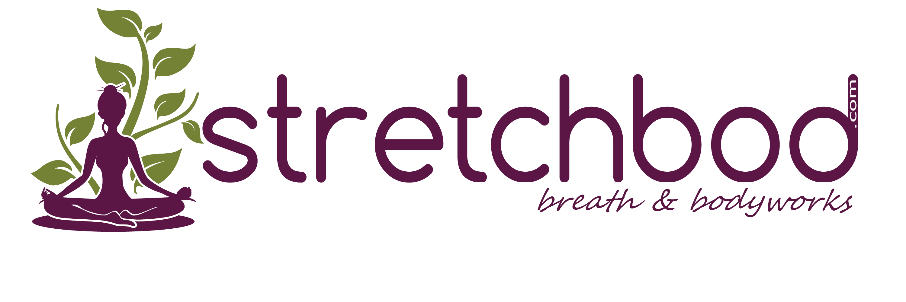 stretchbod's profile banner image