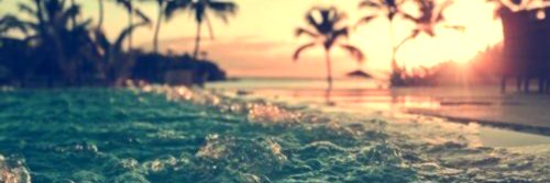anne_leonette's profile banner image