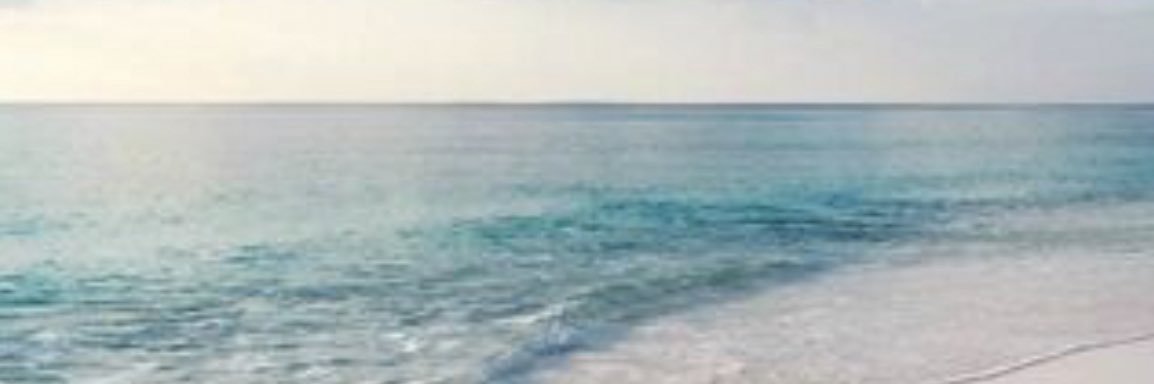 B- r 🌿 banner