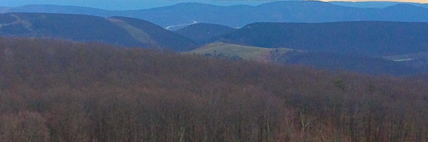 nlbusic's profile banner image