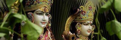 urviapandya's profile banner image