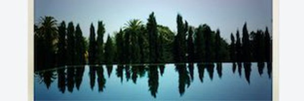 DougChapman Profile Banner