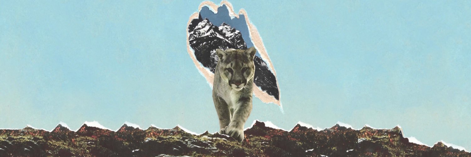theboie's profile banner image
