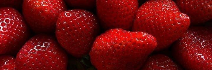 No1KnowsMarjon's profile banner image