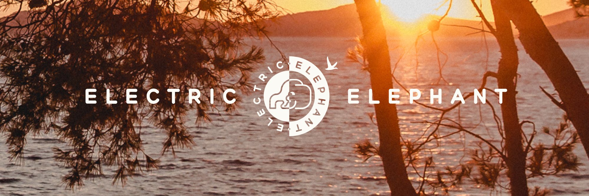 electricelephan's profile banner image