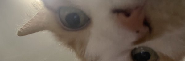 gleicon Profile Banner