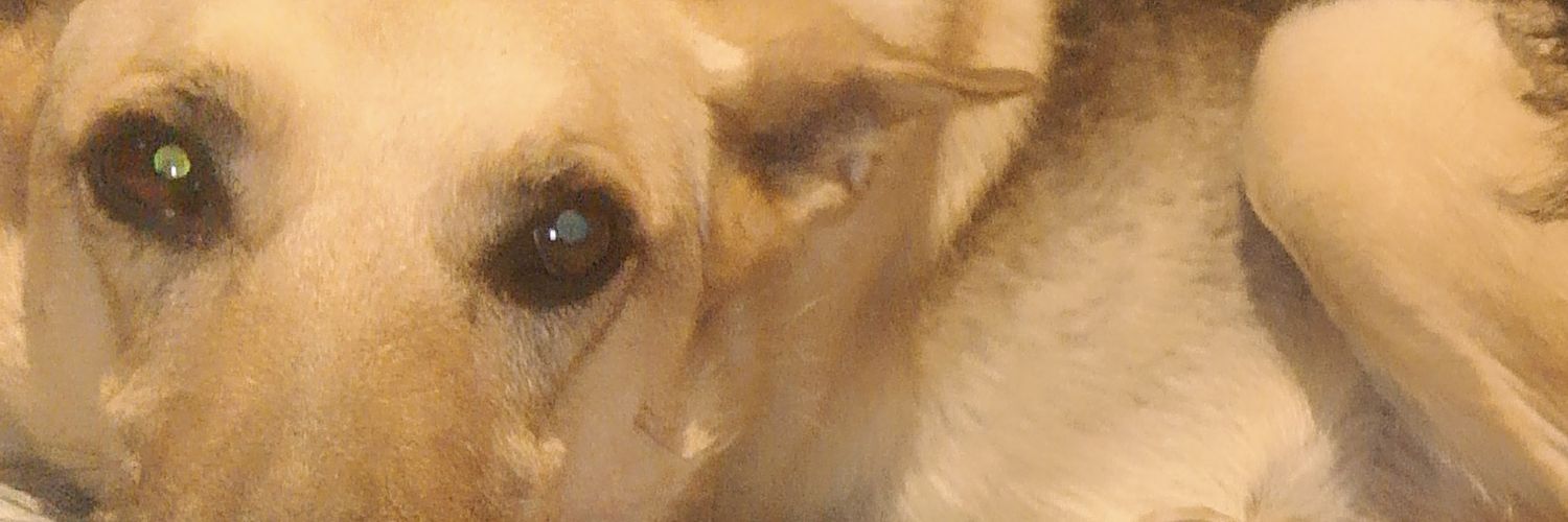 agustindecba's profile banner image