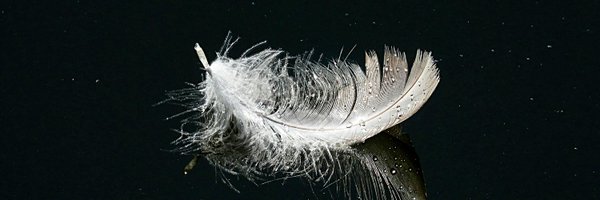 Moontalonz Profile Banner