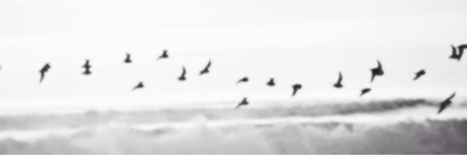 suggftansel's profile banner image