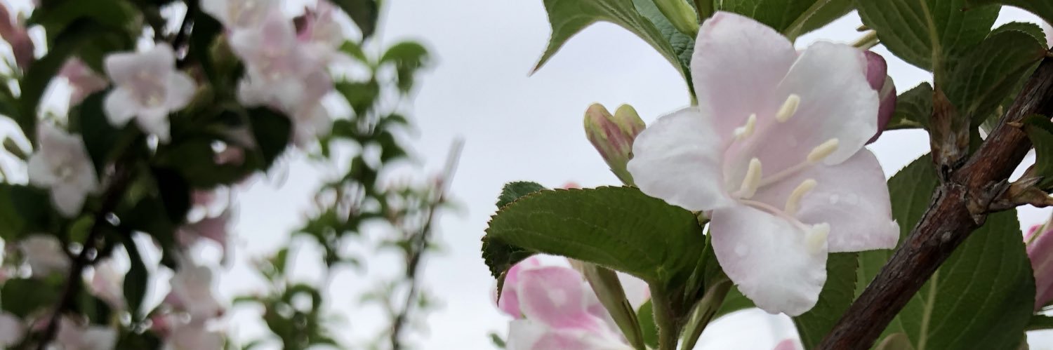 a_cp_f_y's profile banner image
