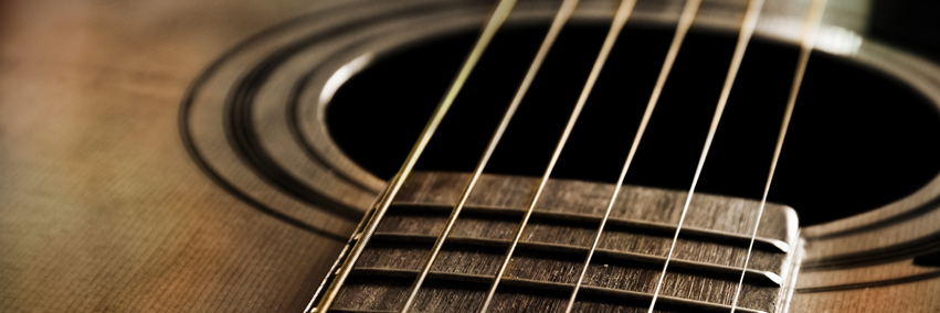 Shawn Kaelber banner