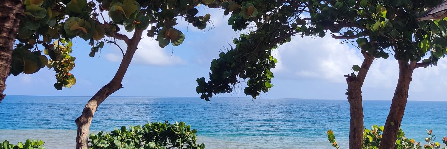 Jei_lys's profile banner image