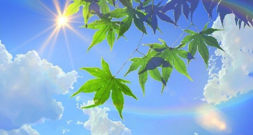 mugical52's profile banner image