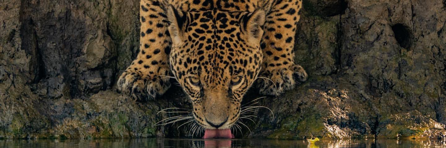 bjssssnavarro's profile banner image
