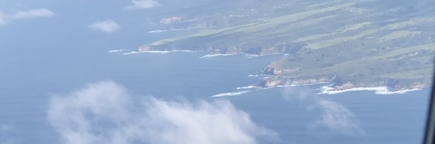 cyannftdbz's profile banner image